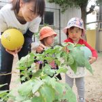 「白ナスが育ちました」　りすぐみ　(1歳児)