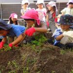 「いもほり」全クラス